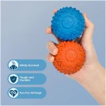 Best Pet Supplies Interactive Bunny Buddy Dog Toy with Crinkle and Squeaky Enrichment for Small and Medium Breed Puppies or Dogs, Cute and Plush - Bunny Bundle (Beige, Gray)
