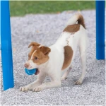 Best Pet Supplies Squeaky Tennis Toys for Dogs, 4-Pack, Heavy-Duty Interactive Pet Toys for Throwing and Fetching, Supports Exercise and Natural Behavior Training, Durable - Small