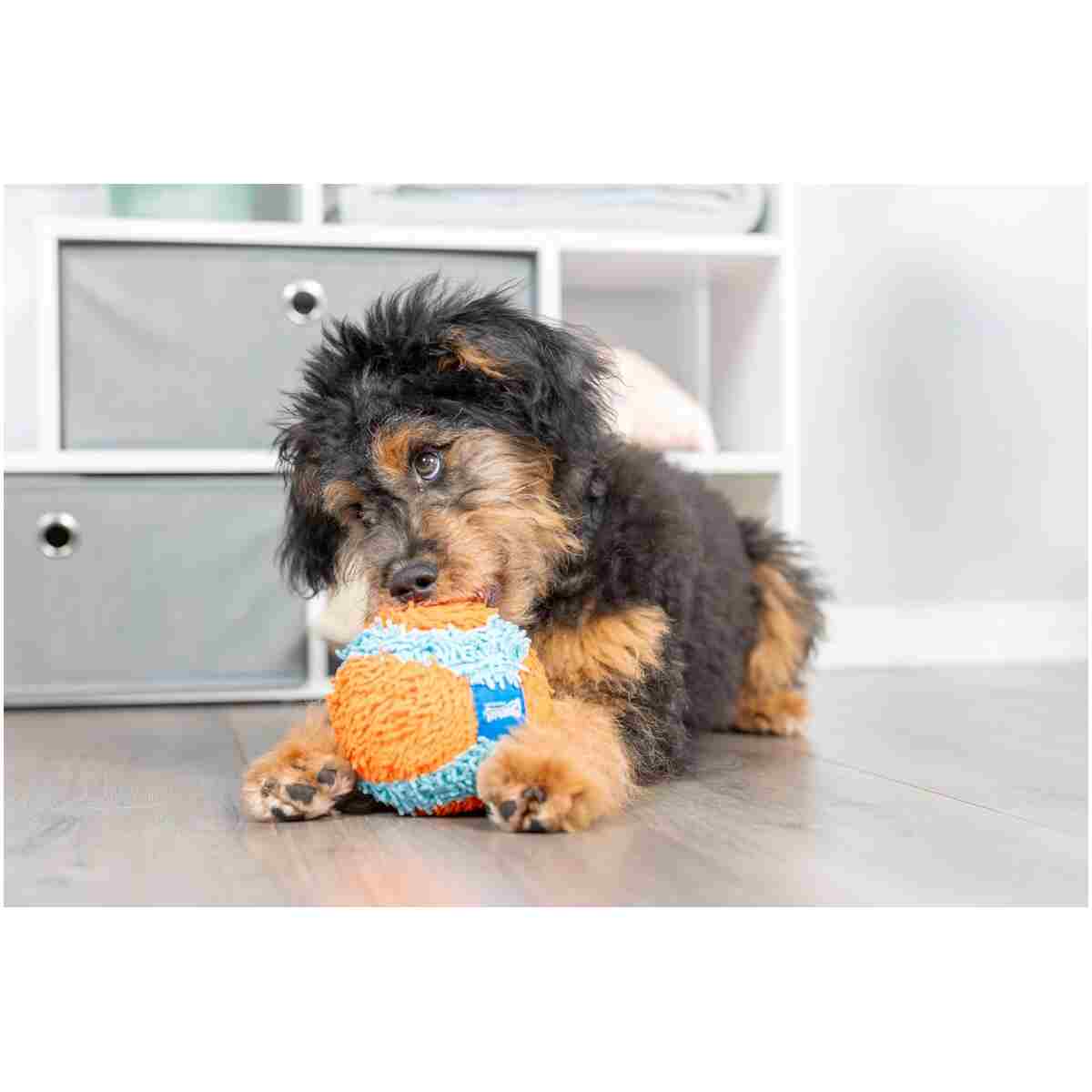 Chuckit! Indoor Fetch Ball Dog Toy for Dogs - Interactive Dog Toys for Boredom, 4.75 Inch, Orange and Blue