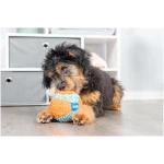 Chuckit! Indoor Fetch Ball Dog Toy for Dogs - Interactive Dog Toys for Boredom, 4.75 Inch, Orange and Blue