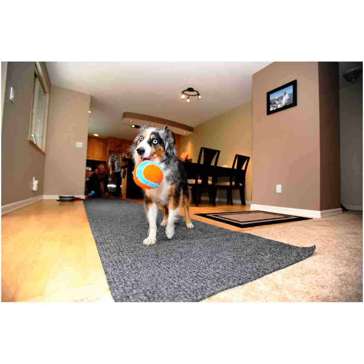Chuckit! Indoor Fetch Ball Dog Toy for Dogs - Interactive Dog Toys for Boredom, 4.75 Inch, Orange and Blue