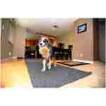 Chuckit! Indoor Fetch Ball Dog Toy for Dogs - Interactive Dog Toys for Boredom, 4.75 Inch, Orange and Blue