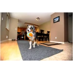 Chuckit! Indoor Fetch Ball Dog Toy for Dogs - Interactive Dog Toys for Boredom, 4.75 Inch, Orange and Blue