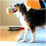 Chuckit! Indoor Fetch Ball Dog Toy for Dogs - Interactive Dog Toys for Boredom, 4.75 Inch, Orange and Blue