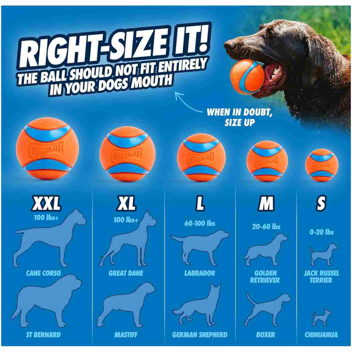 Chuckit! Ultra Ball Dog Toy with Chuckit! Cleaning Bucket Bundle, Bouncy Fetch Pet Toys For Dogs 20-60 lbs, Interactive Dog Toys, Durable Rubber, Size Medium, 2.5-inch Diameter,...