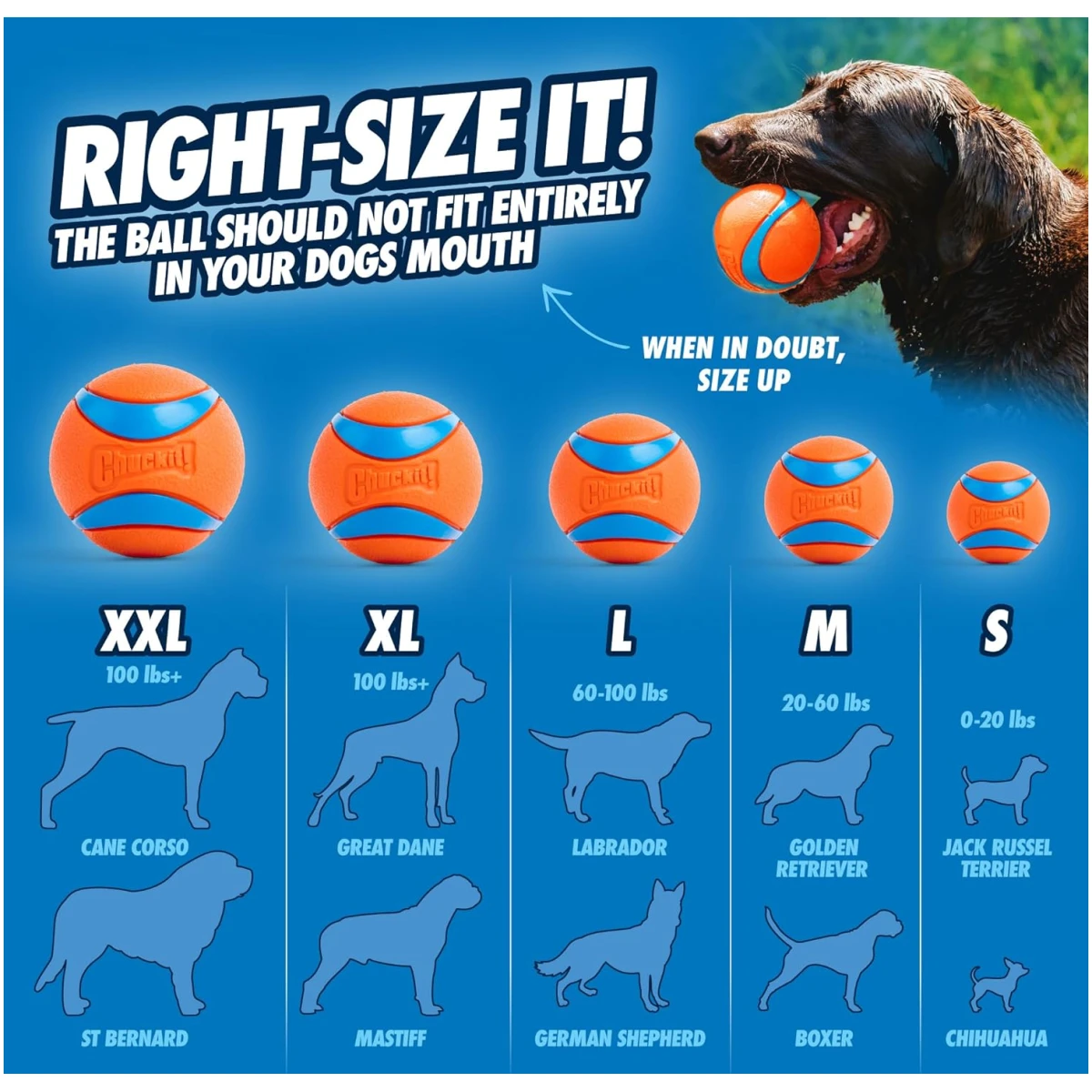 Chuckit! Ultra Ball Dog Toy with Chuckit! Cleaning Bucket Bundle, Bouncy Fetch Pet Toys For Dogs 20-60 lbs, Interactive Dog Toys, Durable Rubber, Size Medium, 2.5-inch Diameter,...