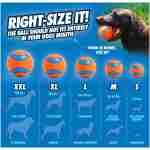 Chuckit! Ultra Ball Dog Toy with Chuckit! Cleaning Bucket Bundle, Bouncy Fetch Pet Toys For Dogs 20-60 lbs, Interactive Dog Toys, Durable Rubber, Size Medium, 2.5-inch Diameter,...