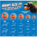 Chuckit! Ultra Ball Dog Toy with Chuckit! Cleaning Bucket Bundle, Bouncy Fetch Pet Toys For Dogs 20-60 lbs, Interactive Dog Toys, Durable Rubber, Size Medium, 2.5-inch Diameter,...