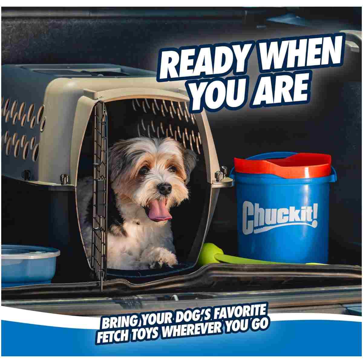 Chuckit! Ultra Ball Dog Toy with Chuckit! Cleaning Bucket Bundle, Bouncy Fetch Pet Toys For Dogs 20-60 lbs, Interactive Dog Toys, Durable Rubber, Size Medium, 2.5-inch Diameter,...