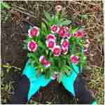 Claw Gardening Gloves for Planting, Garden Glove Claws for Women