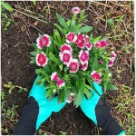 Claw Gardening Gloves for Planting, Garden Glove Claws for Women