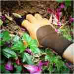 Claw Gardening Gloves for Planting, Garden Glove Claws for Women