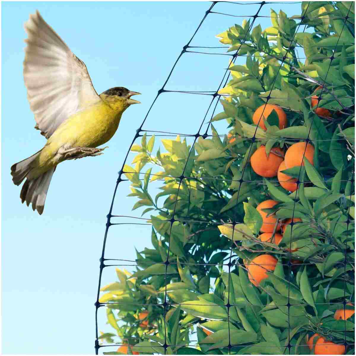 Deer Fence Netting, 7 x 100 Feet Anti Bird Deer Protection Net Reusable Protective Garden Netting for Plants Fruit Trees Vegetables Against Birds and Other Animals