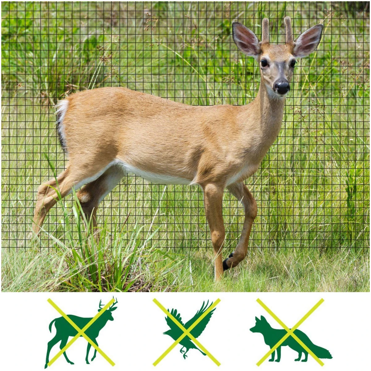 Deer Fence Netting, 7 x 100 Feet Anti Bird Deer Protection Net Reusable Protective Garden Netting for Plants Fruit Trees Vegetables Against Birds and Other Animals