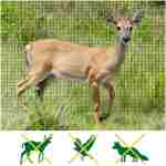 Deer Fence Netting, 7 x 100 Feet Anti Bird Deer Protection Net Reusable Protective Garden Netting for Plants Fruit Trees Vegetables Against Birds and Other Animals