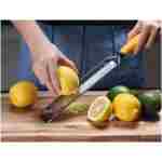 Deiss PRO Lemon Zester & Heavy Duty Cheese Grater & Vegetable Grater — Parmesan Cheese Lemon, Garlic, Nutmeg, Chocolate, Fruits, Vegetables, Ginger Grater - Cheese Shredder &...