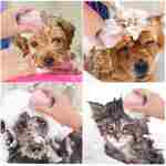 Dog Cat Bath Brush Comb Silicone Rubber Dog Grooming Brush Silicone Puppy Massage Brush Hair Fur Grooming Cleaning Brush Soft Shampoo Dispenser (Yellow - Upgraded)