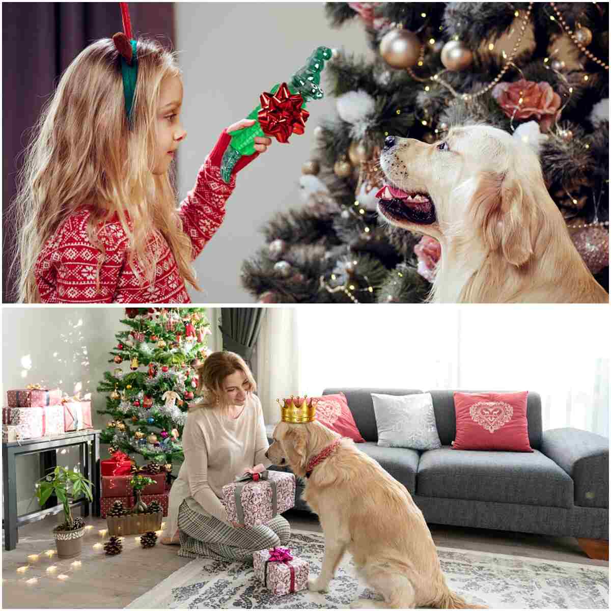 Dog Chew Toys for Aggressive Chewers - Indestructible Dog Toy to Reduce Pet Anxiety and Boredom for Small, Medium, Large Breed