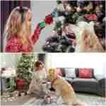 Dog Chew Toys for Aggressive Chewers - Indestructible Dog Toy to Reduce Pet Anxiety and Boredom for Small, Medium, Large Breed