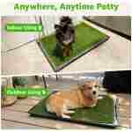 Dog Grass Large Potty Patch, Dog Litter Boxes Artificial Grass Bathroom Turf for Pet Training, Washable Puppy Pee Pad, Perfect Indoor/Outdoor Portable Potty Pet Loo