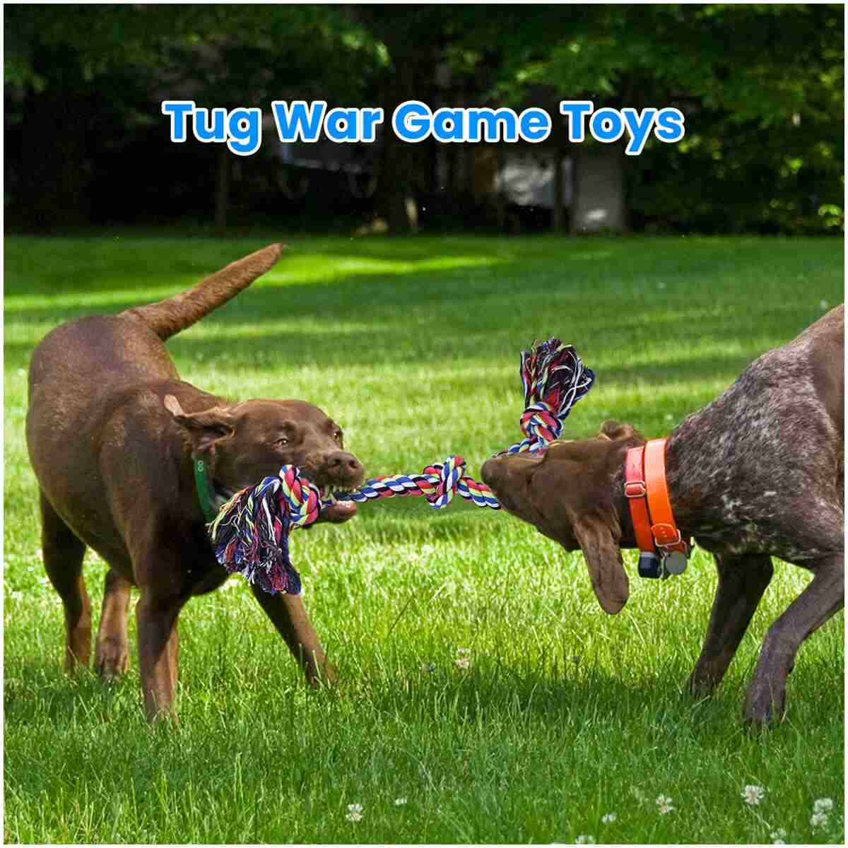 Feeko Dog Rope Toys for Large and Medium Aggressive Chewers, 2 Pack Heavy Duty Dog Rope Toy for Large Breed, Indestructible Dog Chew Toys, Tug of War Dog Toy, 100% Cotton Teeth...