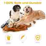 FIREOR Dog Squeak Toys, No Stuffing Plush Dogs Chew Toy for Small Medium Large Breed Chewer Squeaky Pet Supplies Tough Durable Puppy Teething Chewing Interactive to Keep Them...