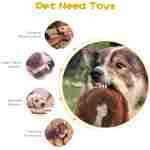 FIREOR Dog Squeak Toys, No Stuffing Plush Dogs Chew Toy for Small Medium Large Breed Chewer Squeaky Pet Supplies Tough Durable Puppy Teething Chewing Interactive to Keep Them...