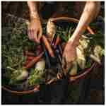 Fiskars Garden Harvest Basket - Container for Gardening and Harvesting with Tool Caddy - Harvesting Basket Doubles as a Collander for Vegetables and Fruits - Garden Accessories