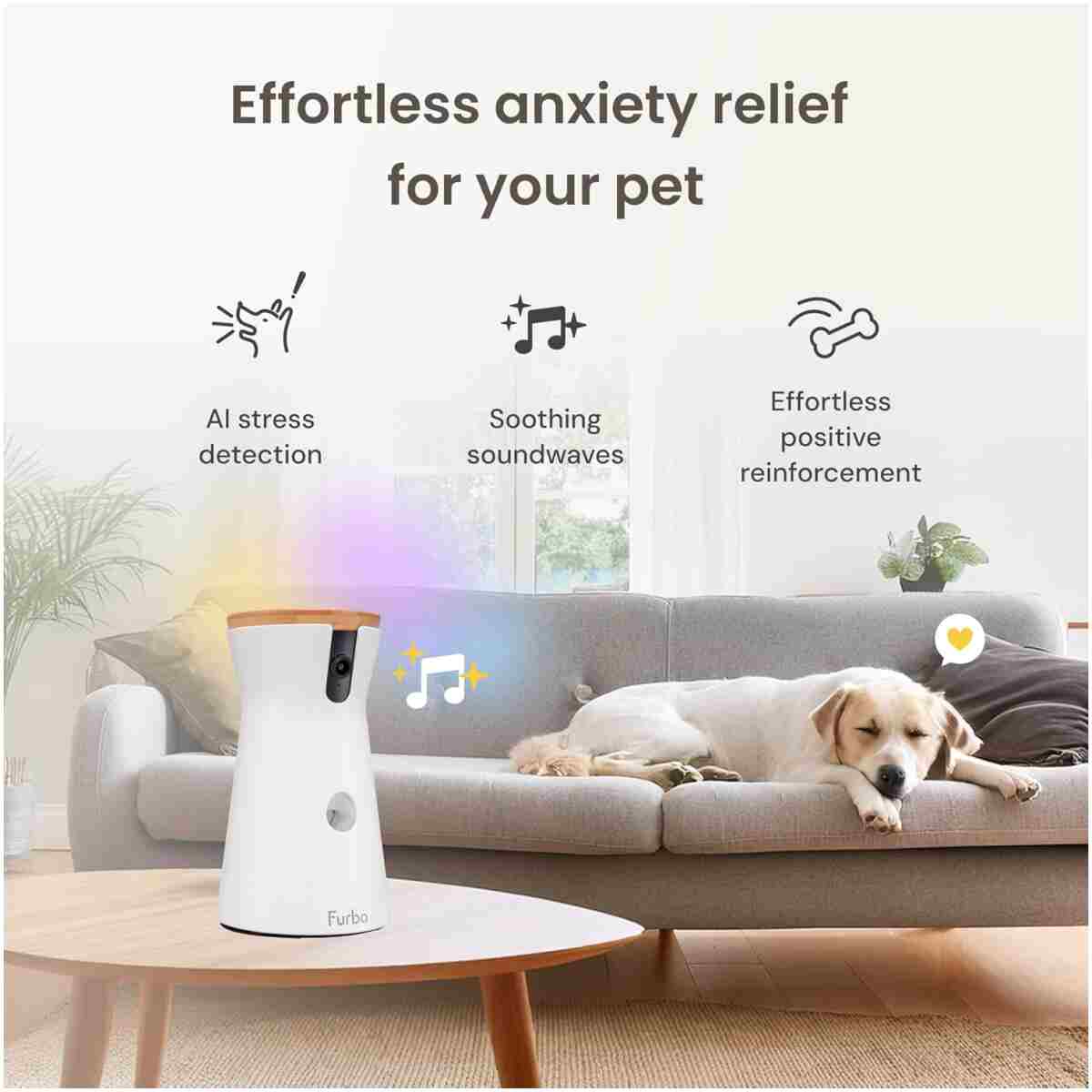 Furbo 360° Dog Camera + Nanny Bundle: Home Security & Pet Safety Alerts, Rotating Treat Dispenser with Speaker, Smart Home Indoor Cam w Phone App (Additional Subscription...