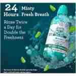 GuruNanda Fresh Breath Mouthwash, ADA-Accepted, Alcohol & Fluoride-Free, Sodium Chlorite, Essential Oils & Vitamins, 12-Hrs Fresh Breath, Wild Mint, 3 oz