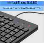 HP 150 Wired Keyboard with Numeric Keypad - Silent-Touch Chiclet Keyboard - Ergonomic, Comfortable - USB Plug-and-Connectivity, LED Indicators (664R5AA, Black)