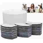 HugSmart Pet Water Fountain Pump for Automatic 2L with 7 Filters(Innovative Soundless, Elegant Roman Columns Drinking Waterer), Intelligent Cat Water Fountain