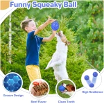 Indestructible Squeaky Dog Ball, Relieves Anxiety, Cleans Teeth, Interactive Chew Toy for Aggressive Chewers, Dog Toy for Large Breeds, Outdoor Waterproof