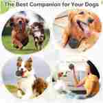 Indestructible Squeaky Dog Balls, Dog Toys for Aggressive Chewers Large Breed for Relieving Anxiety, Tough Dog Chew Toys Balls for Aggressive Chewers, Outdoor Squeaky Dog Toys...