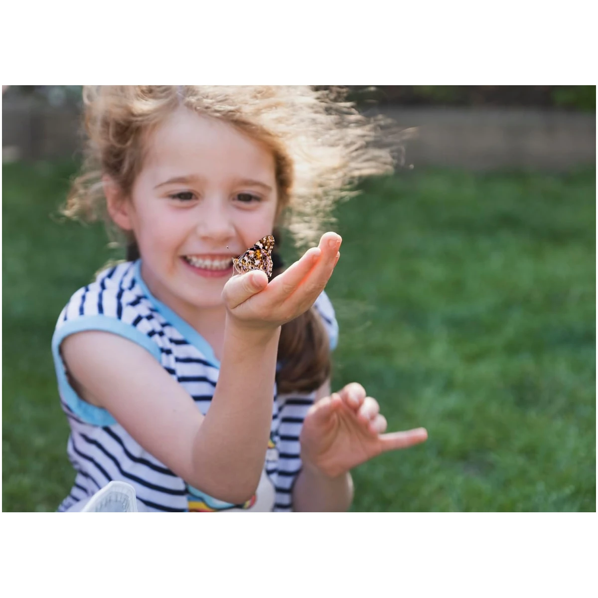 Insect Lore Butterfly Garden Kit, Painted Lady Butterfly Kit with Voucher for Live Caterpillars, Butterfly Habitat, STEM Journal & More