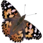 Insect Lore Butterfly Garden Kit, Painted Lady Butterfly Kit with Voucher for Live Caterpillars, Butterfly Habitat, STEM Journal & More