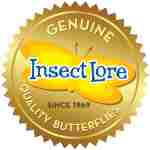 Insect Lore Butterfly Garden Kit, Painted Lady Butterfly Kit with Voucher for Live Caterpillars, Butterfly Habitat, STEM Journal & More