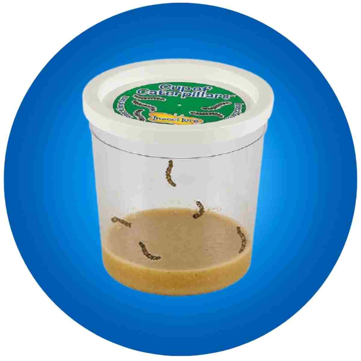 Insect Lore Butterfly Garden Kit, Painted Lady Butterfly Kit with Voucher for Live Caterpillars, Butterfly Habitat, STEM Journal & More