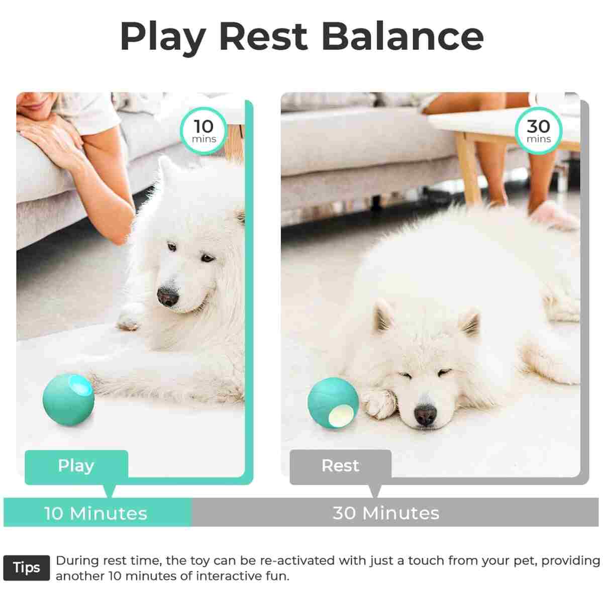 Intelligent Interactive Dog Toy, [Enhanced Rubber Version] Wicked Ball PE,3 Interactive Modes,Active Rolling Ball for Medium and Large Dogs with LED Lights,DC Rechargeable