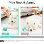 Intelligent Interactive Dog Toy, [Enhanced Rubber Version] Wicked Ball PE,3 Interactive Modes,Active Rolling Ball for Medium and Large Dogs with LED Lights,DC Rechargeable