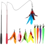 Interactive Cat Toys - Retractable Wand Toy and Feather Toys Refills for Indoor Cats to Chase and Exercise