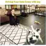 Interactive Cat Toys - Retractable Wand Toy and Feather Toys Refills for Indoor Cats to Chase and Exercise