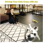 Interactive Cat Toys - Retractable Wand Toy and Feather Toys Refills for Indoor Cats to Chase and Exercise