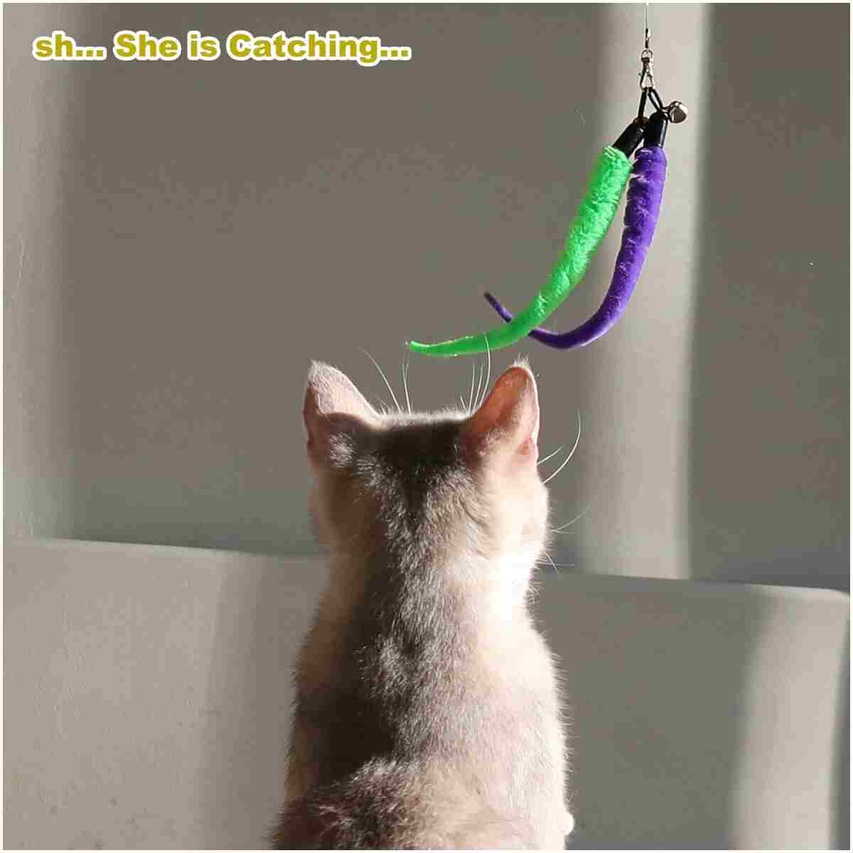 Interactive Cat Toys - Retractable Wand Toy and Feather Toys Refills for Indoor Cats to Chase and Exercise