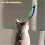 Interactive Cat Toys - Retractable Wand Toy and Feather Toys Refills for Indoor Cats to Chase and Exercise