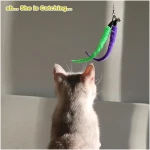 Interactive Cat Toys - Retractable Wand Toy and Feather Toys Refills for Indoor Cats to Chase and Exercise