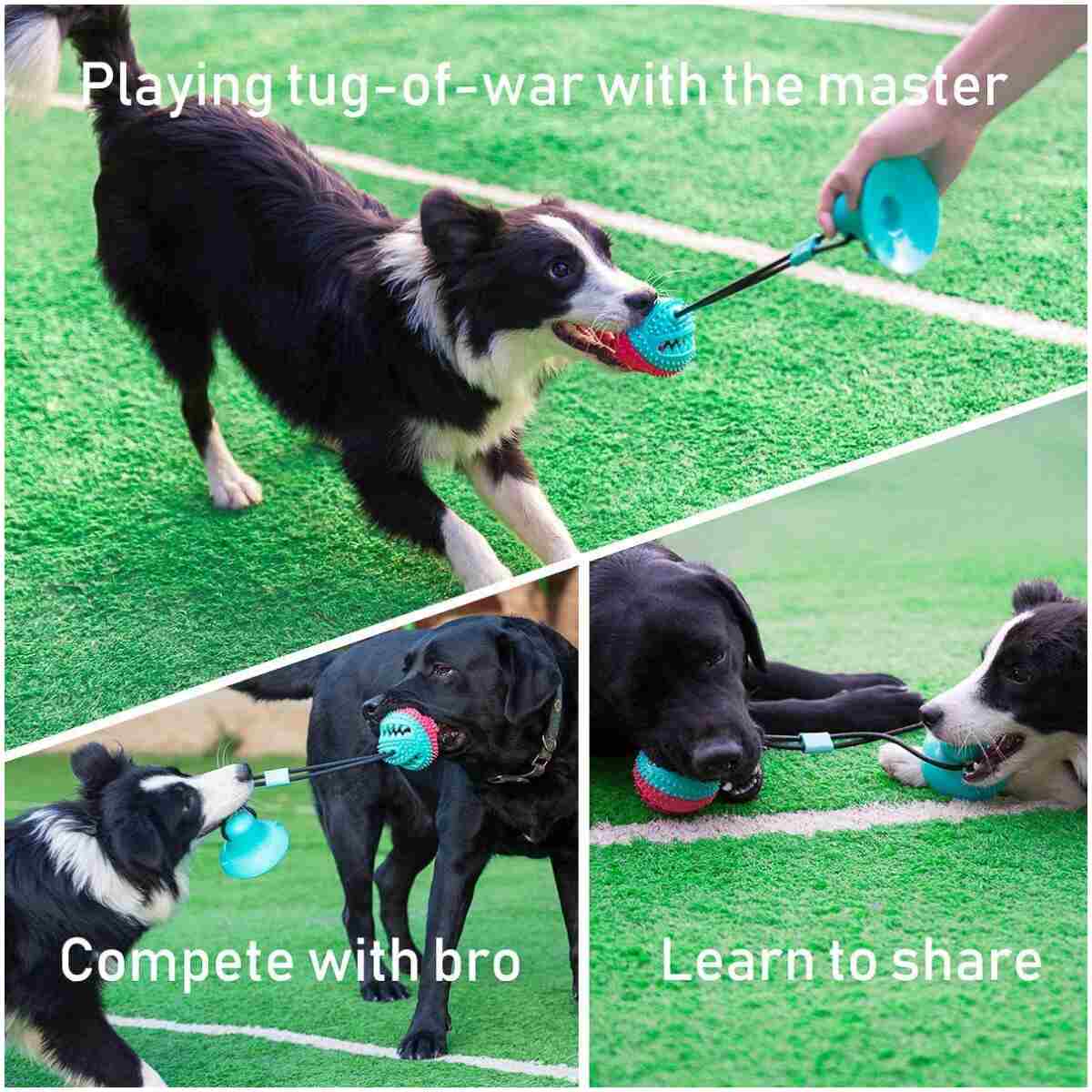 Interactive Dog Toys Tug of War, Mentally Stimulating Toys for Dogs, Puppy Teething Toys for Boredom to Keep Them Busy, Dog Puzzle Treat Food Dispensing Ball Toy for Small...