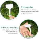 KINGLAKE 100 个 6 x10 厘米塑料植物 T 型标签苗圃花园标签