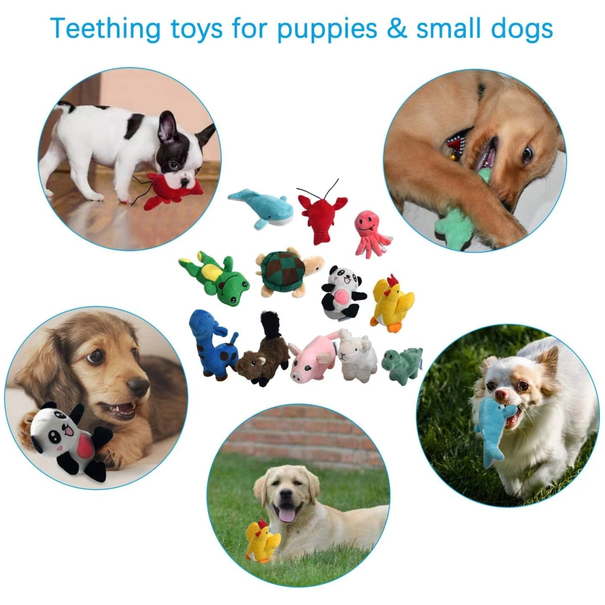 LEGEND SANDY Squeaky Plush Dog Toy Pack for Puppy, Small Stuffed Puppy Chew Toys 12 Dog Toys Bulk with Squeakers, Cute Soft Pet Toy for Small Medium Size Dogs