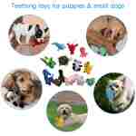 LEGEND SANDY Squeaky Plush Dog Toy Pack for Puppy, Small Stuffed Puppy Chew Toys 12 Dog Toys Bulk with Squeakers, Cute Soft Pet Toy for Small Medium Size Dogs
